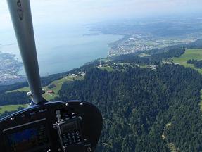 Pfnder am Bodensee